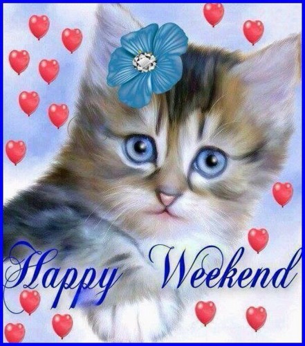WEEK-END-27