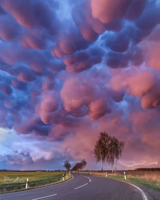 Amazing-42