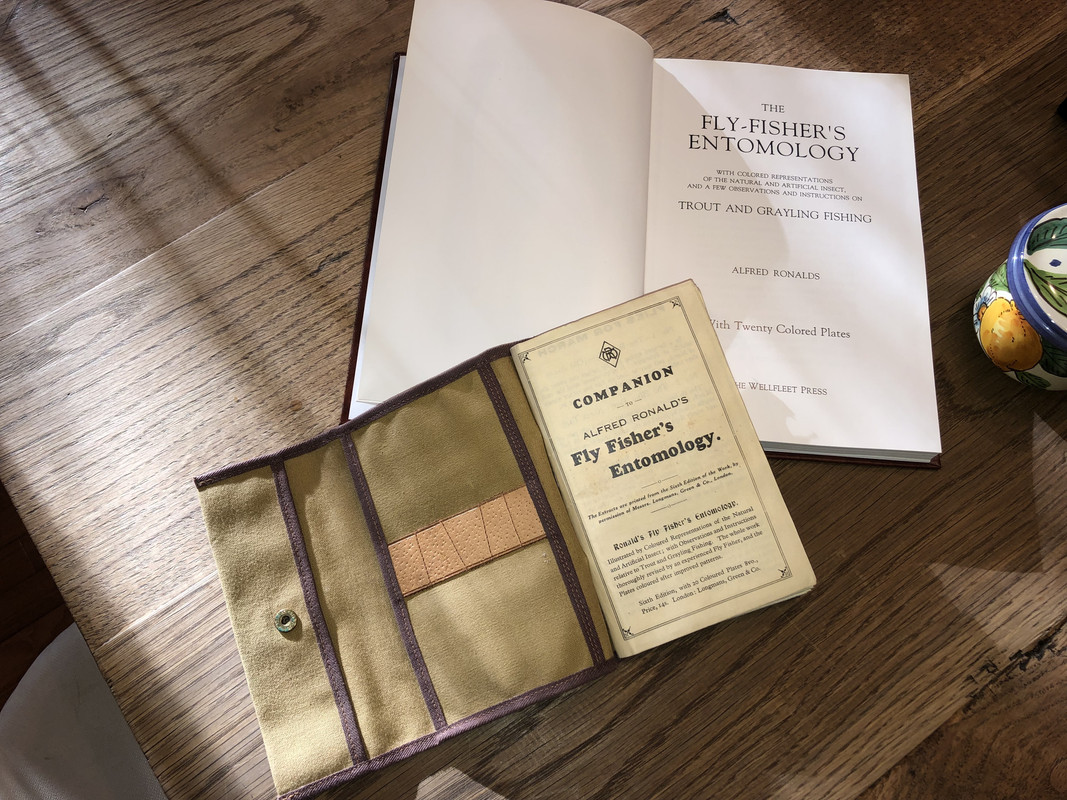 7772236D-56BF-4C2E-8080-2FEE5E568C7A