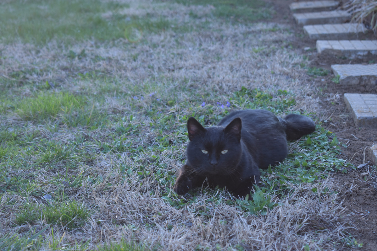 DSC_0841