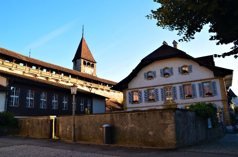 MURTEN-4-9-2019 - Suiza y sus pueblos-2019 (63)