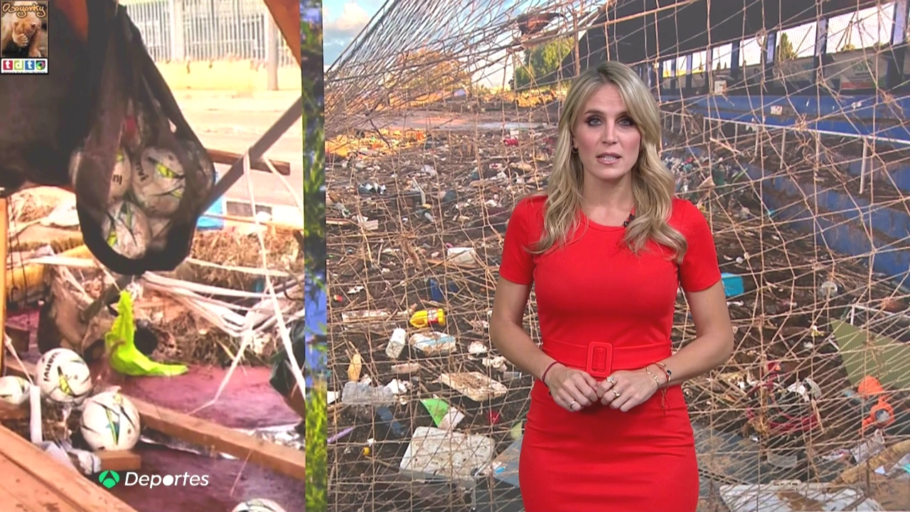 angitetorrasvarios8_oso3wwwwwwwwwww