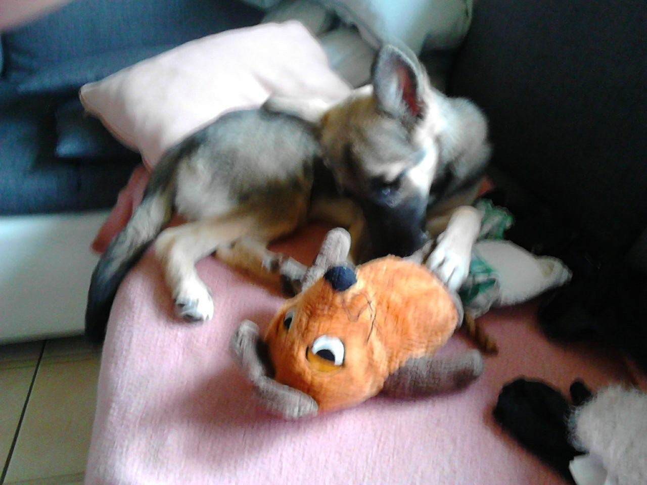 5389101934415293210 121