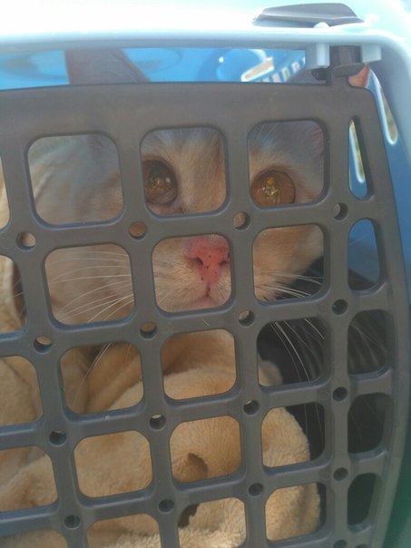 63F27F13-82B6-4757-BD0B-09AED4359530