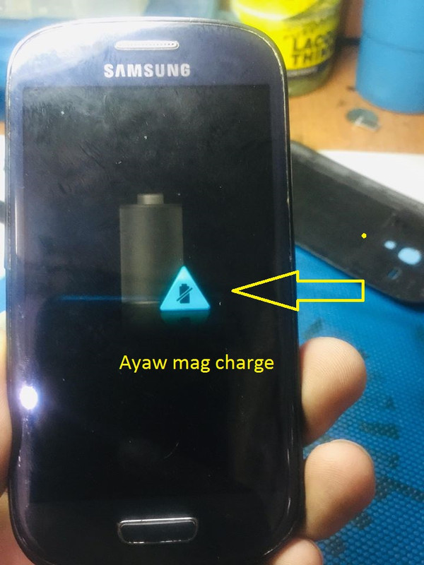 49212603_550385182102667_938387067832893440_n