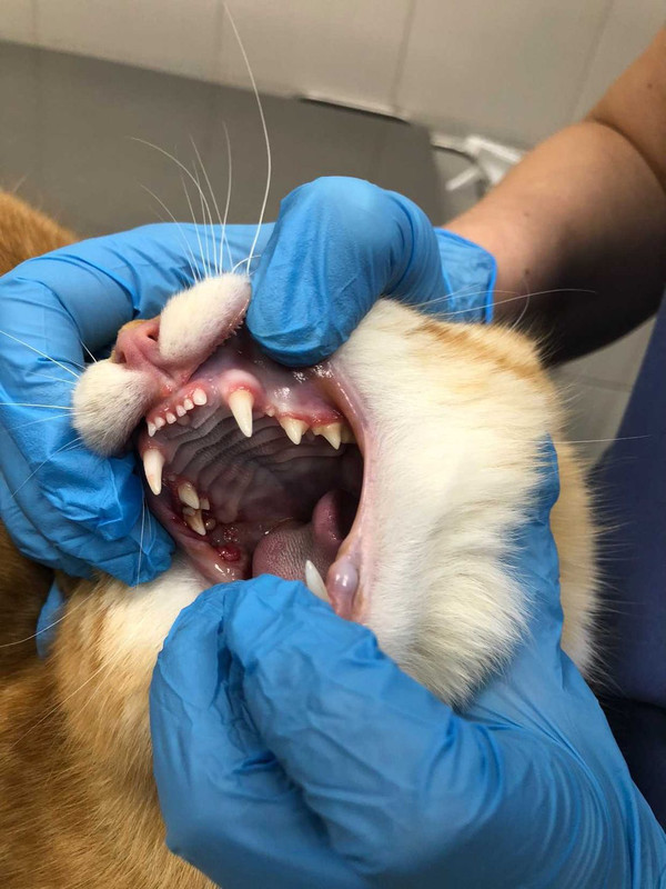 B76DB3AD-BC27-42B6-BD13-81A294A32C3B