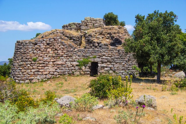 WhatsApp Image 2020-07-09 at 17.53.36 (2)