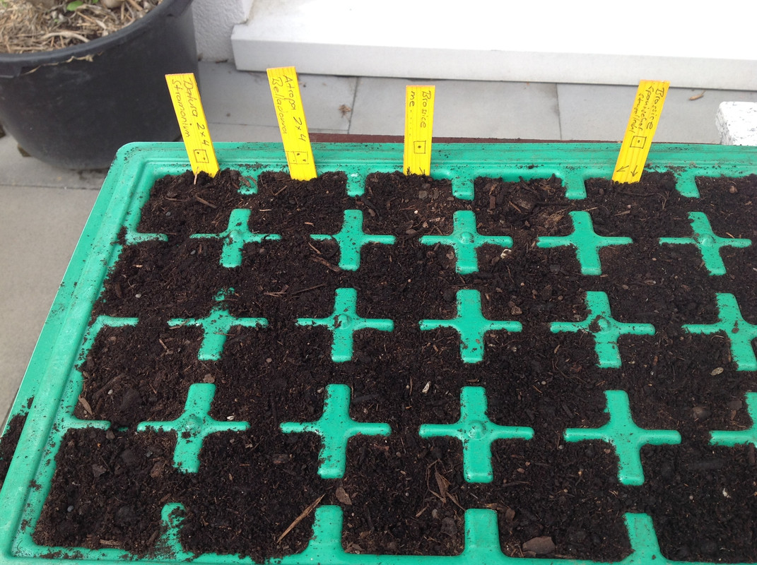 Gartenarbeiten Aussaat 3.April 2015 (3)