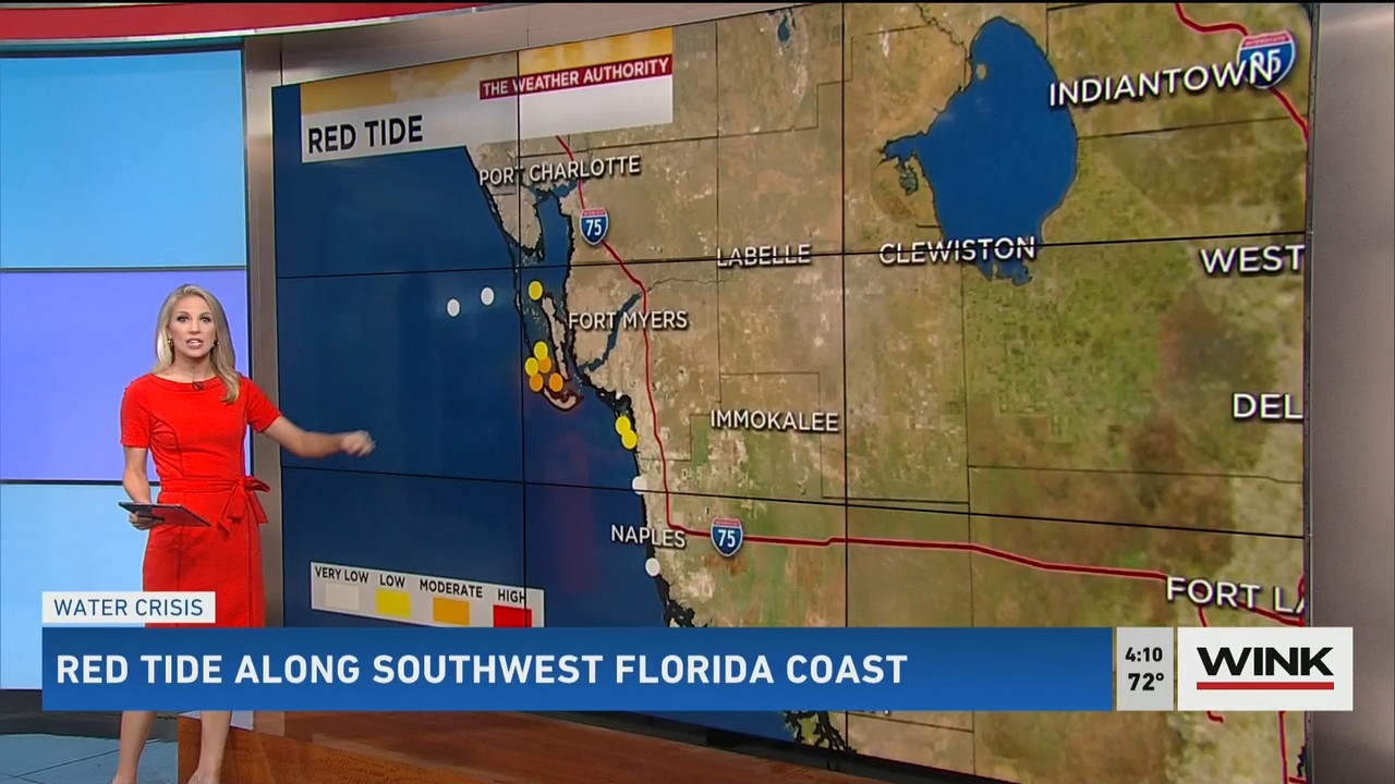 01.21 - 21.00.00 - WINK News @ 4PM..ts_snapshot_00.11.53.162