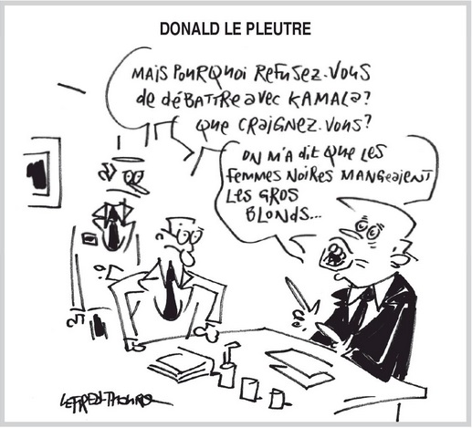 text alternatif