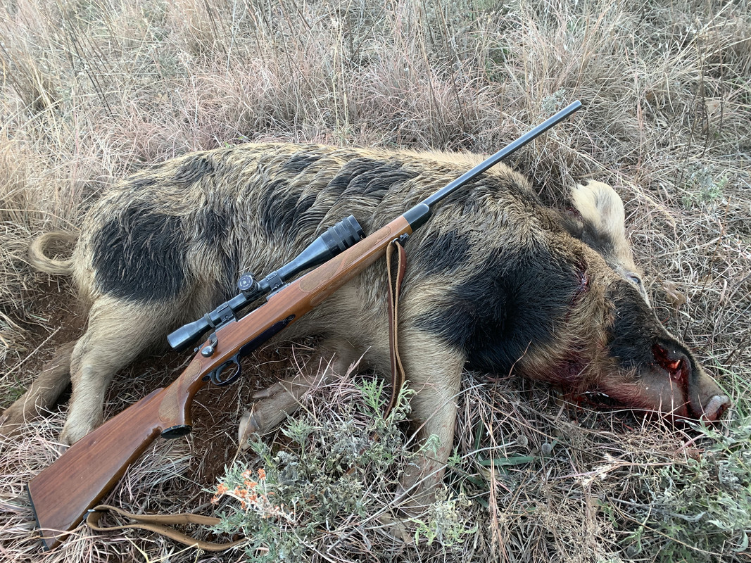 A84002D5-B03A-4354-8DC1-9C3502F4EE04