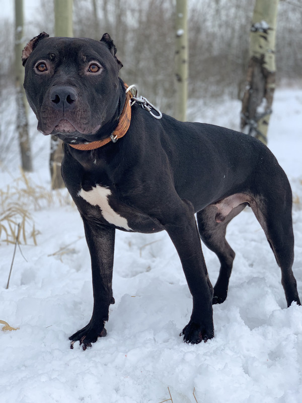 AE077FCE-6775-4370-94BE-36E4DACAB96D