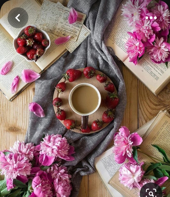 Screenshot_20230528_212814_Pinterest