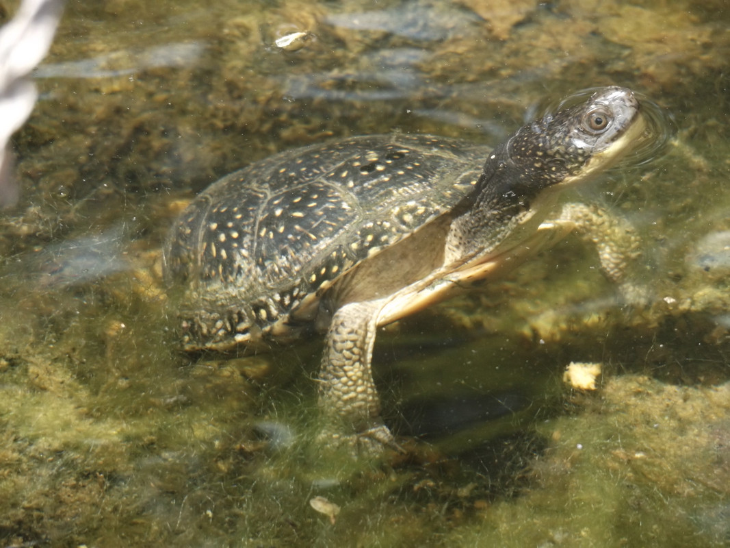 DSCF7172.jpg