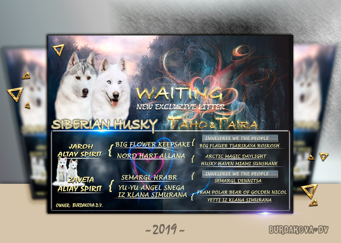 Без имени-28