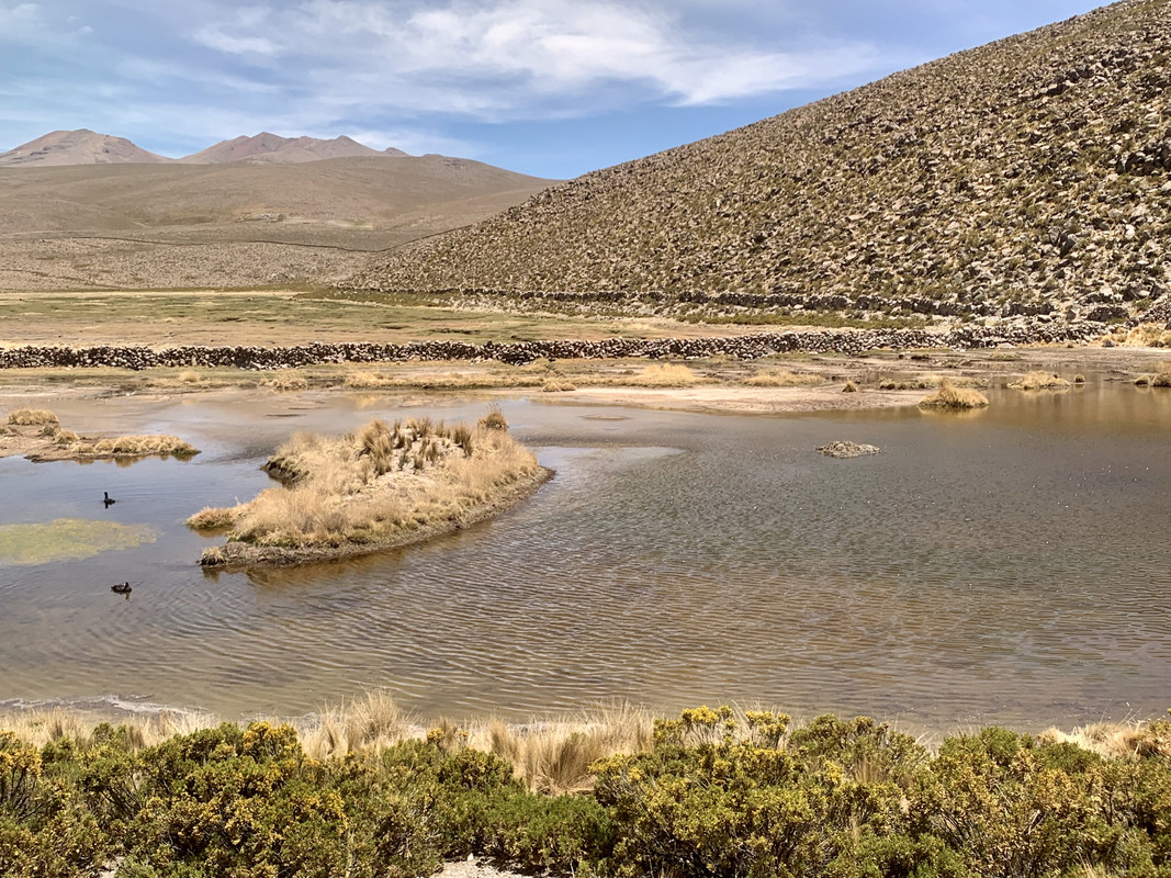 398B2E8E-7C07-4A18-81D4-ADCAA7271706