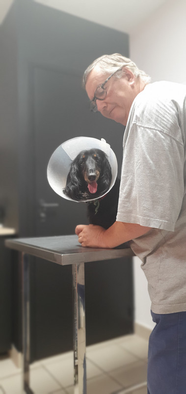 [Image: 20230807-145623.jpg]