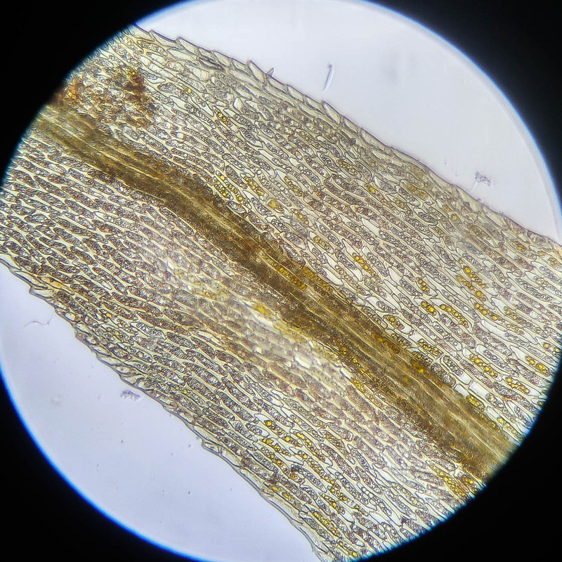 IMG 20250614 112522 HDR