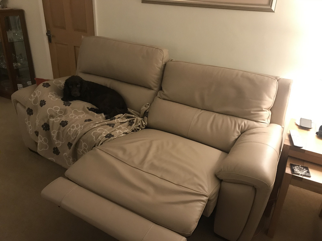 9A3AF279-2523-4FDF-9CD4-5CA60A385072