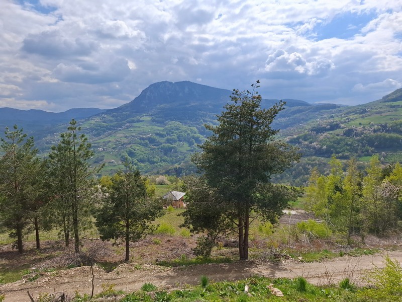 Slika