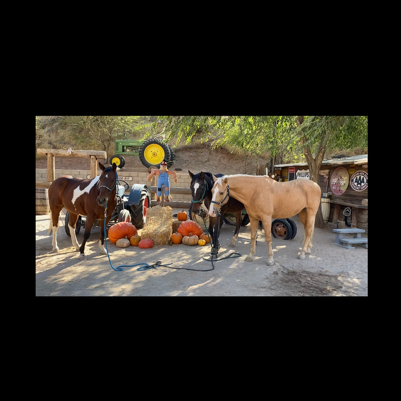 1AA1C8D4-1644-4AF4-B976-13D3B00BEC06