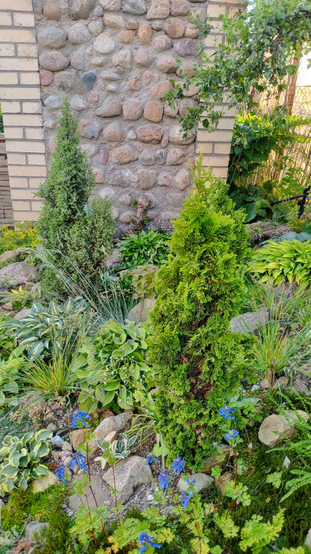 IMG 20250616 201925