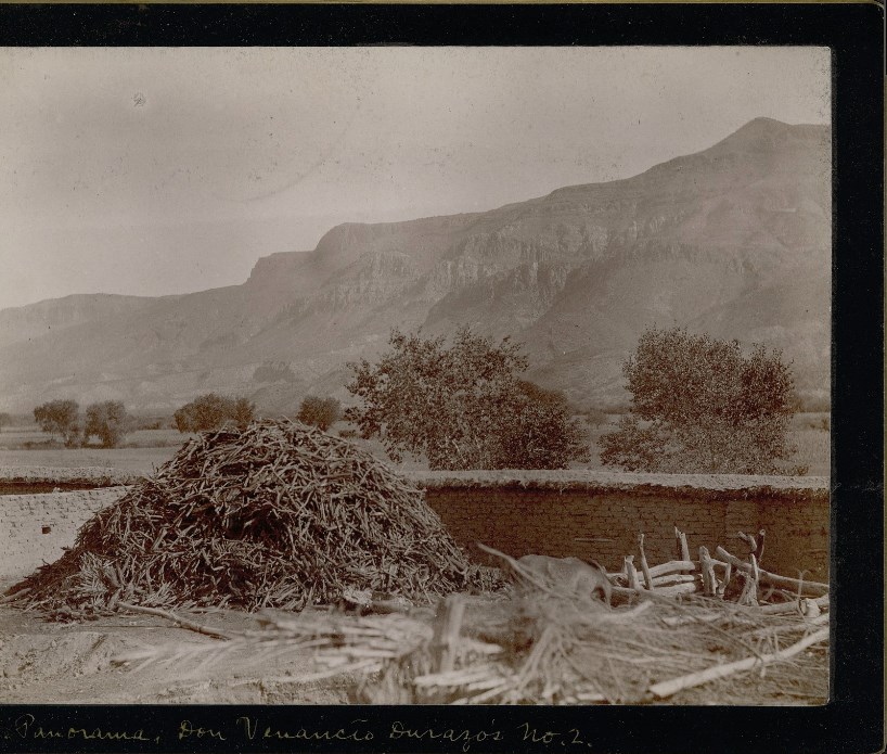 Lumholtz — fotografía