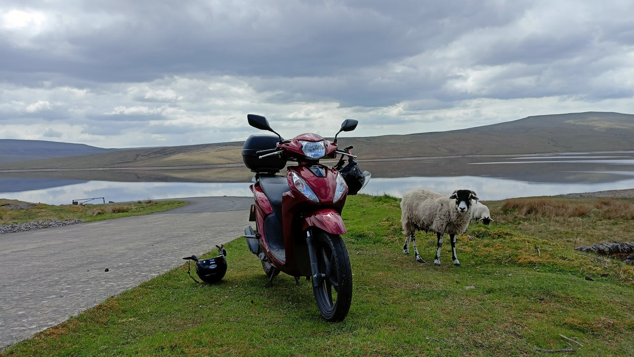 IMG20230526142343 (Large)