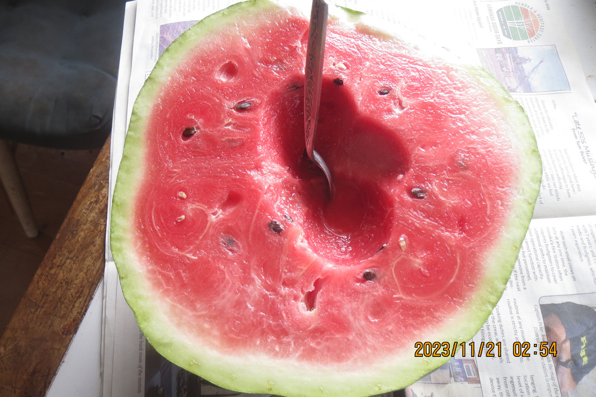 30B6C8AA-8946-4867-9844-B89C21DEDC09