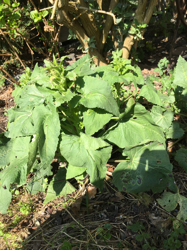 67B7E9BE-53D8-4F63-A4D1-F368AEC8CB15