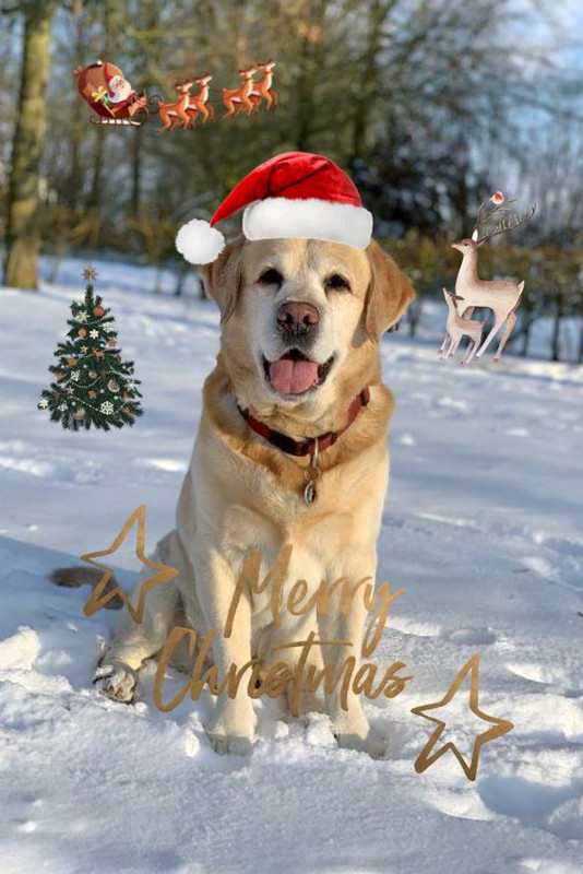 050F61A3-38AB-450A-B0FB-91402FCADD56