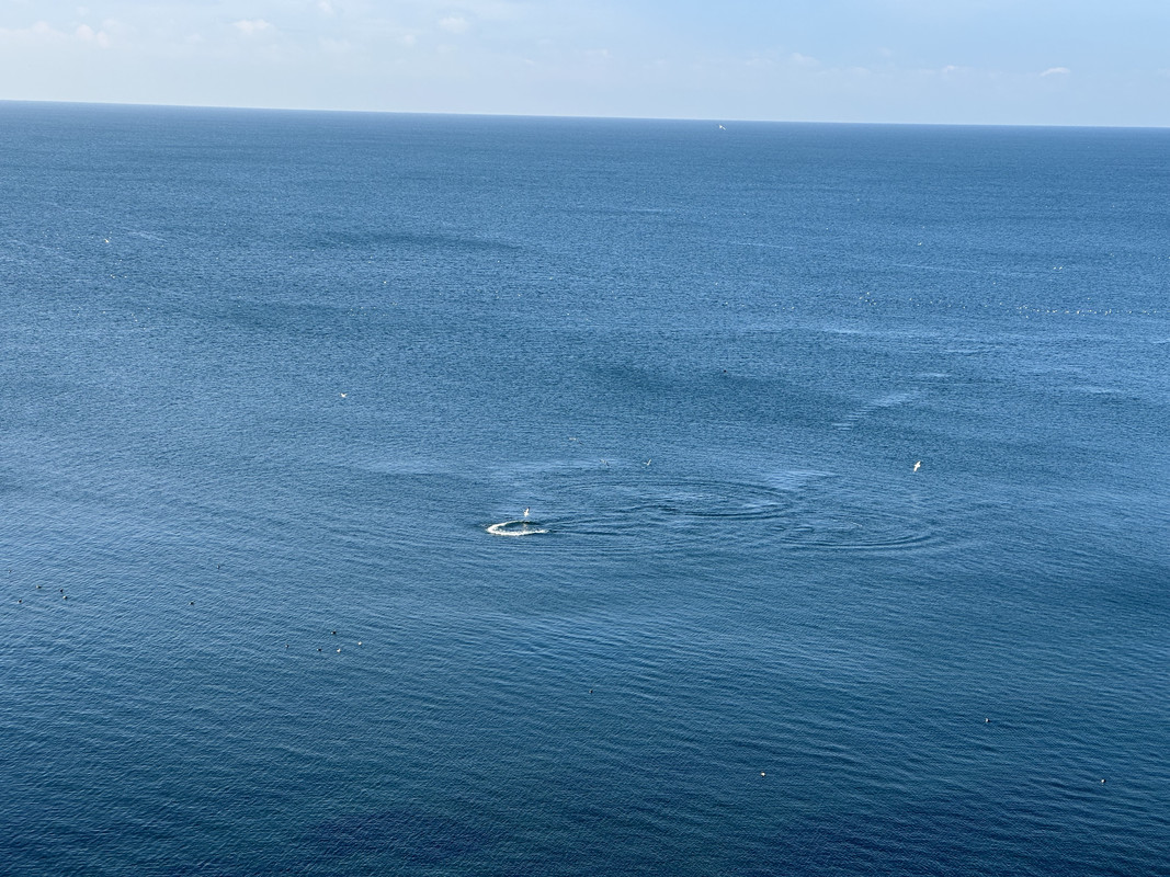 IMG-8367.jpg