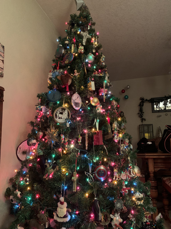 E9B6683F-7901-4AB1-994C-9AC7563F15E2