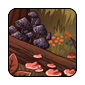 Fungi1.png