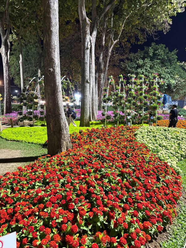 Блестяшки и вкусняшки: Новый Год в Чиангмае, Хуахин, Бангкок