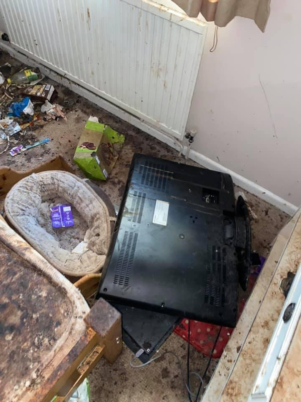 DFD947E2-9E1F-42E6-BCC1-0413FB2F968F