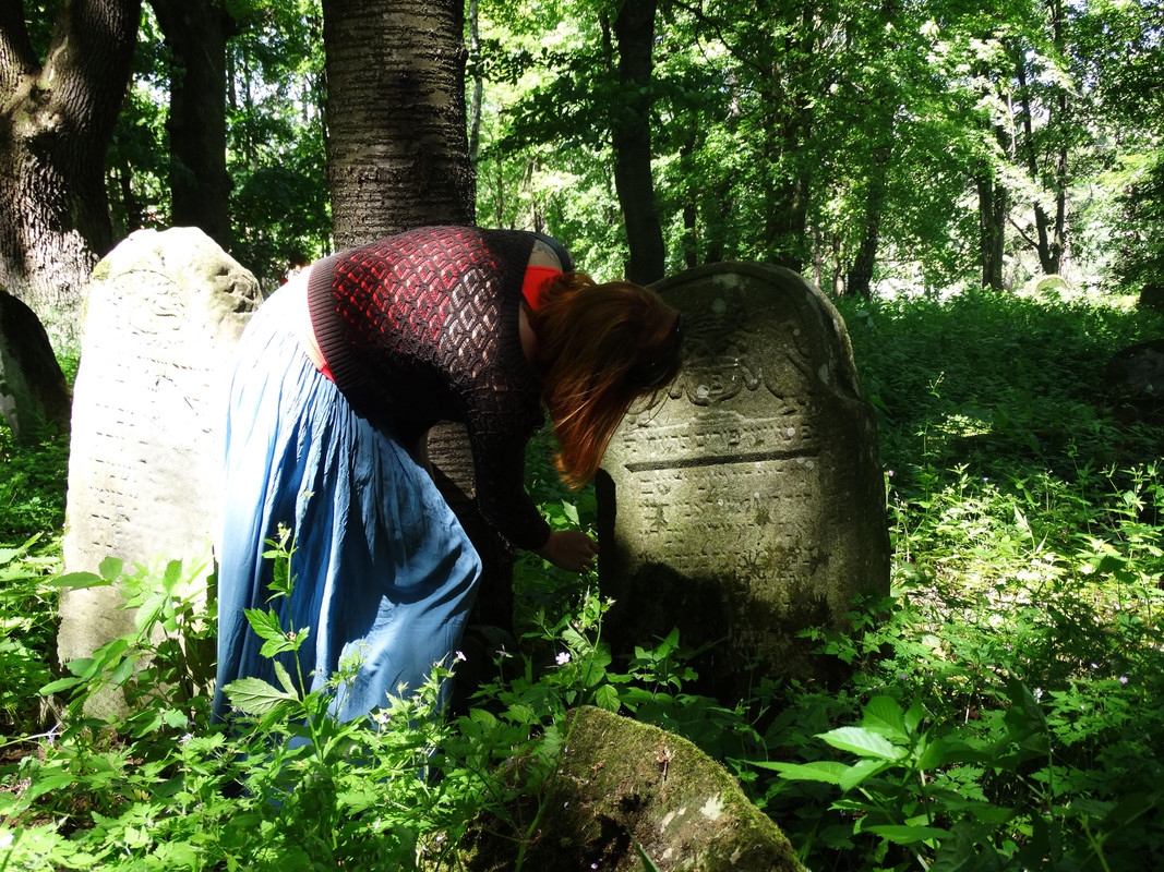 100 - DSC01265 (TomaszK)