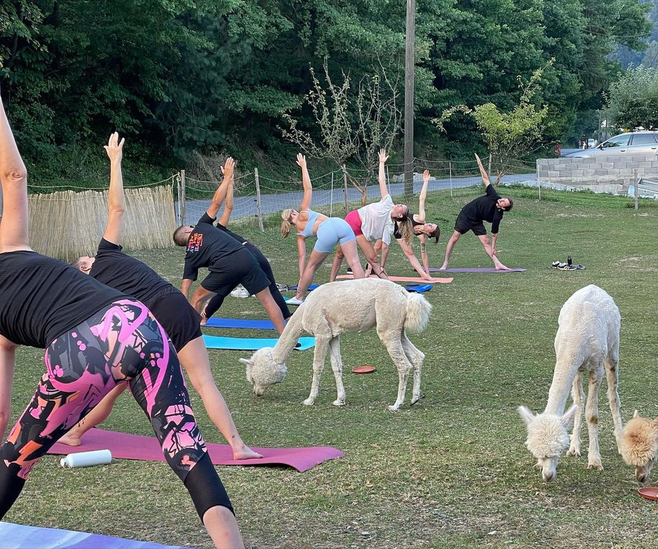 295650166_121397250615394_8904591204075458258_n