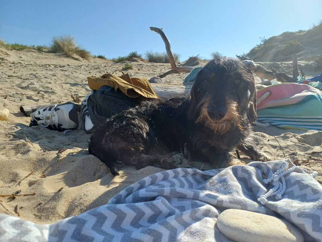 [Image: IMG-20250919-153601.jpg]