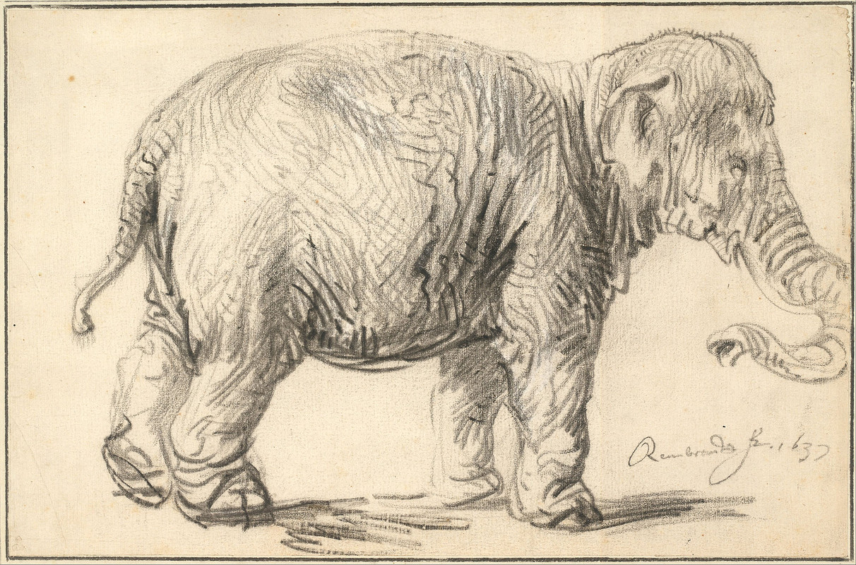 https://i.postimg.cc/cJDJzrC8/Rembrandt-Harmenszoon-van-Rijn-An-Elephant-1637-Google-Art-Project.jpg