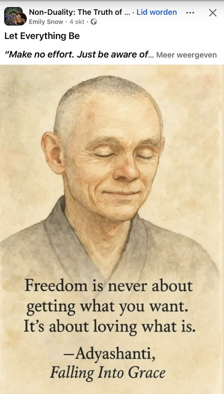 Adyashanti - Falling into Grace (Freedom)