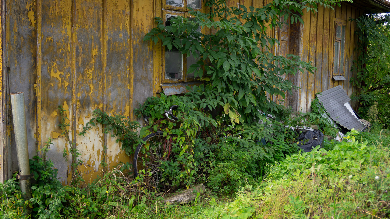 DSC07924.jpg