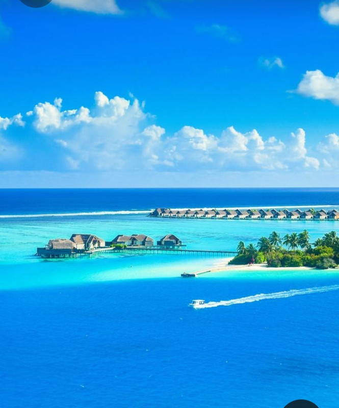 Screenshot_20230611_215701_Pinterest