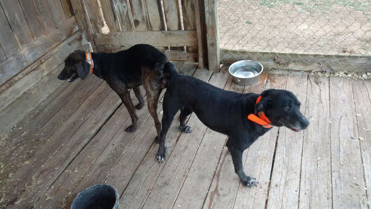 IMG_20190111_171327885