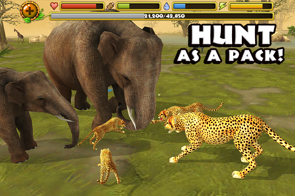 Download Cheetah Simulator APK