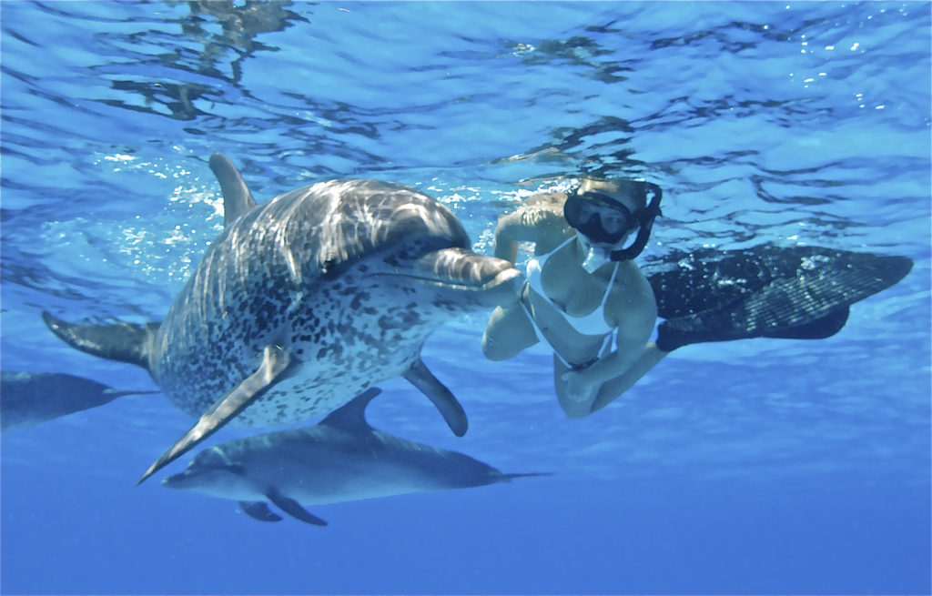 [Image: 2009-July-Whaleman-Foundation-Bahamas-01.jpg]