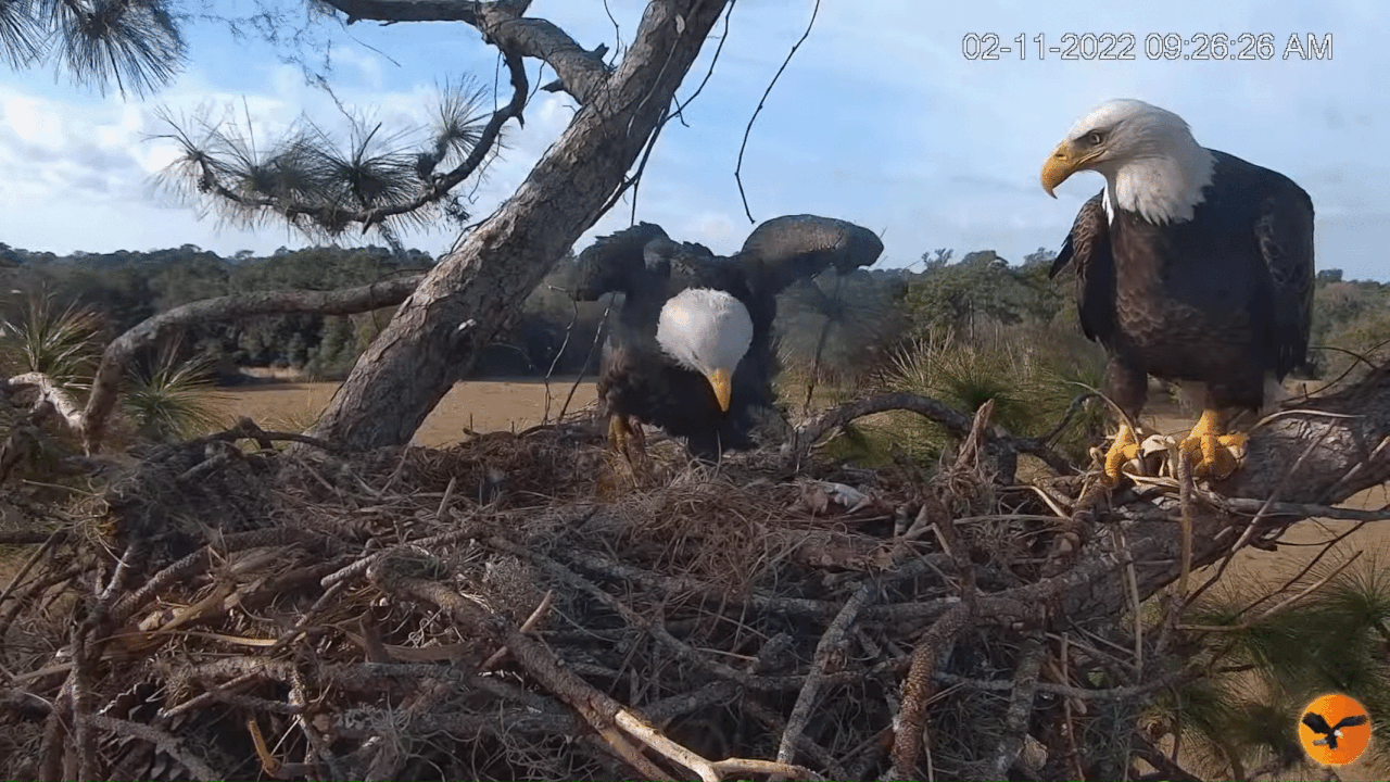 Webp.net-gifmaker (6)