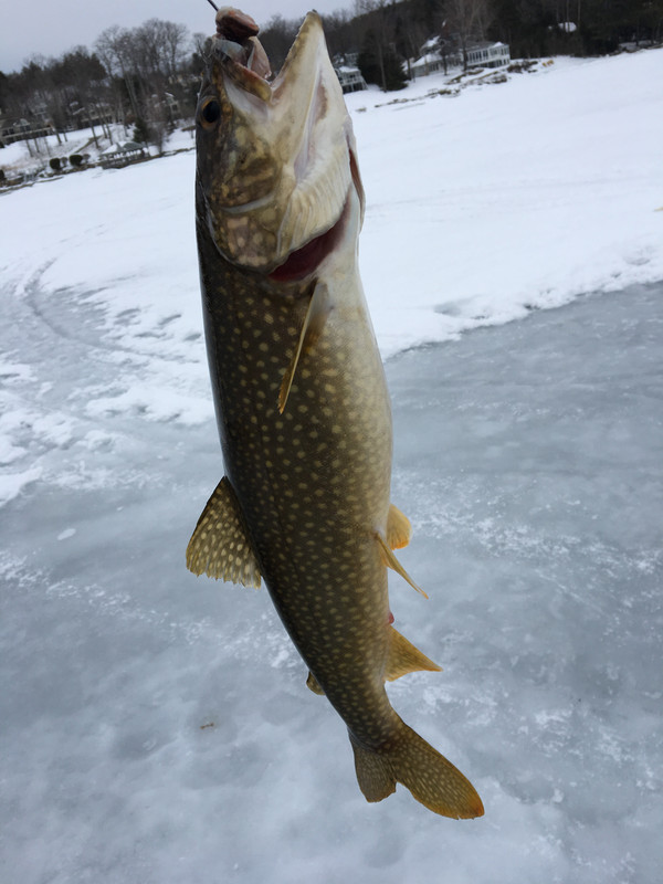 6CE1AEE9-1E1E-45FA-9437-A46A05A3F1FA