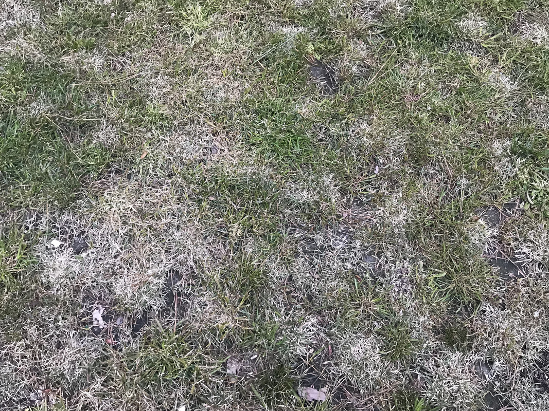 F1A2214E-DDBA-46F8-AF0B-D3E63A9BB2AB