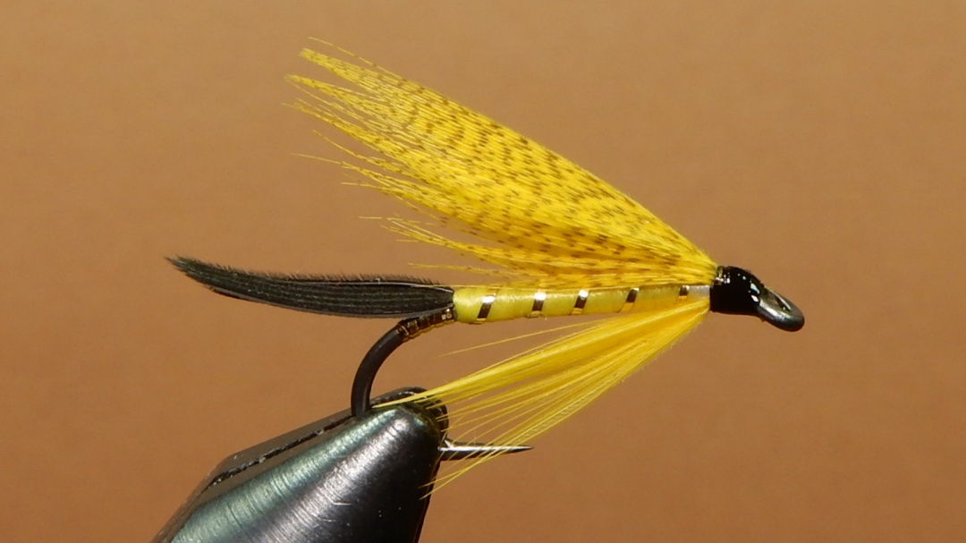 Yellow-Drake-1080.jpg